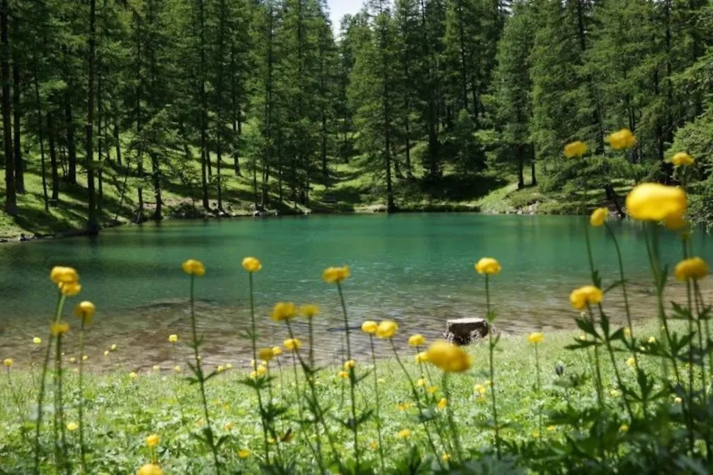 Super Appart Risoul Alpes Du Sud Lejlighed